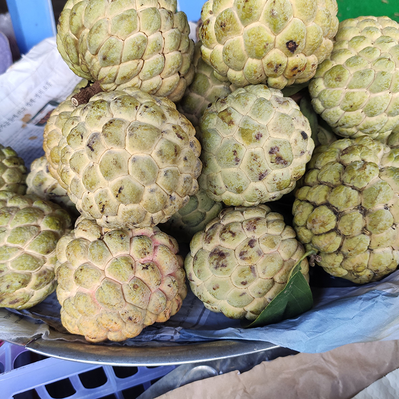 Mãng cầu